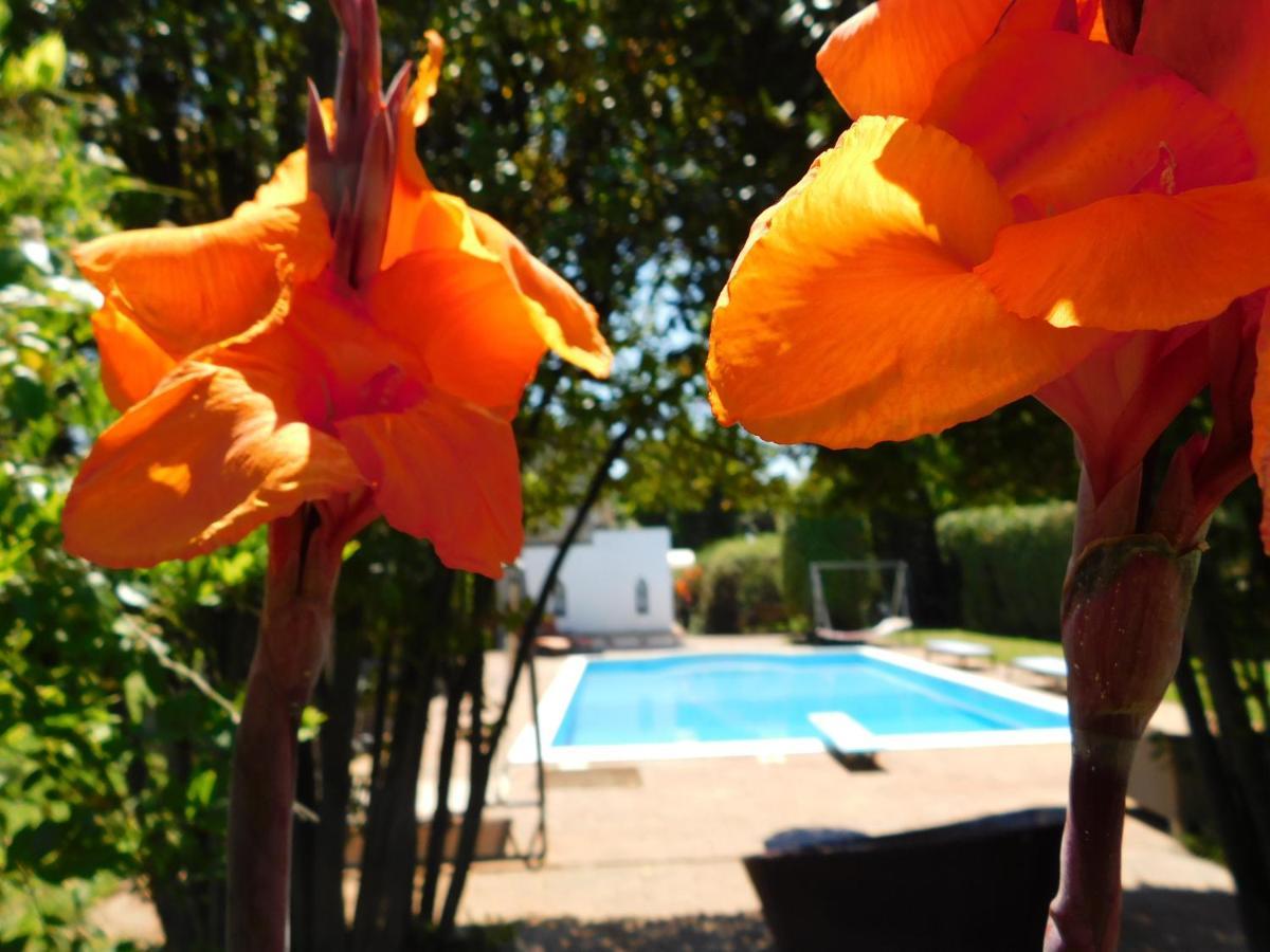 Appartamento Con Piscina Immersa Nel Verde Cascina Exterior foto