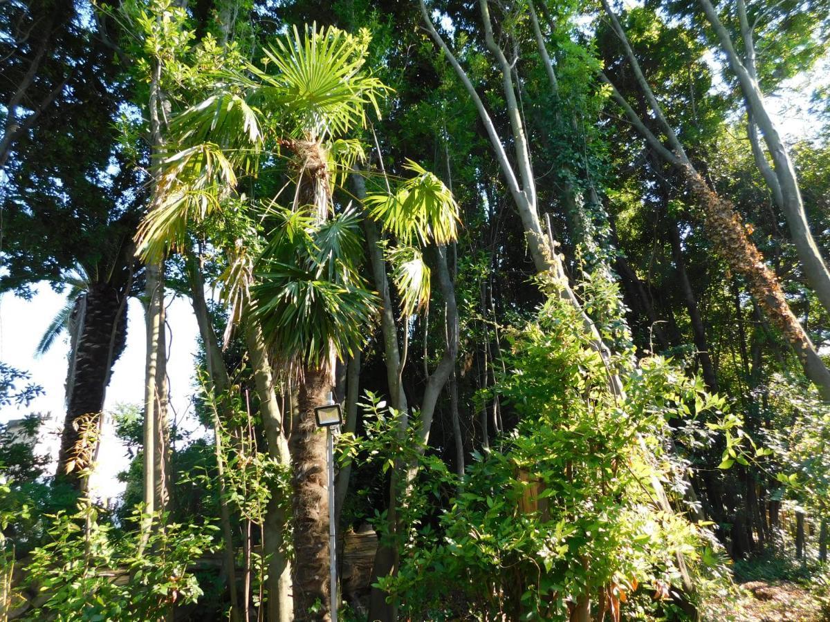 Appartamento Con Piscina Immersa Nel Verde Cascina Exterior foto